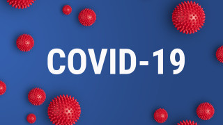 Над 600 000 са вече жертвите на COVID-19 в света