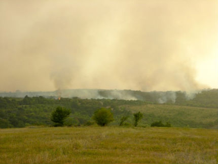 Голям пожар гори в района на Гоце Делчев