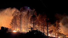 Гърция овладя горските пожари
