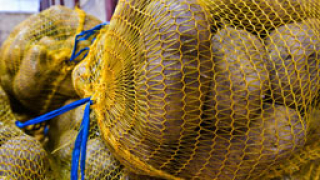 Продължава приемът на заявления за държавна помощ за картофопроизводителите