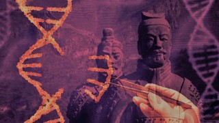 САЩ притеснени от заиграване на Китай с военна евгеника - геноми от бременни по света