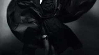 Мрачната лейди през погледа на Солв Съндсбо