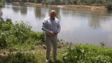 Установено е веществото, отровило кравите край Димитровград