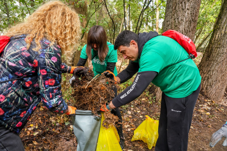 Снимка 780128