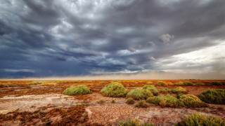 В пустинята Атакама вали дъжд за първи път от 500 години