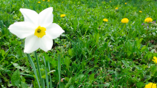 Днес над по голямата част от страната ще преобладава слънчево време