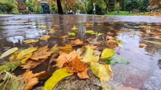 Тази събота не забравяйте чадъра си у дома Денят обещава