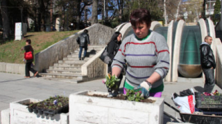"Време за действие" търси активни граждани