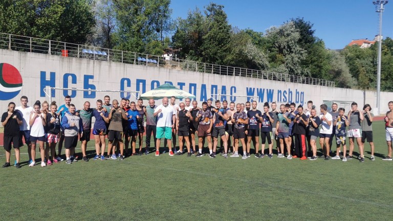 Изображение 490728