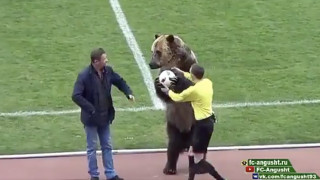 Остри критики по света срещу използването на мечка на футболен мач в Русия