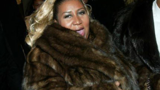 PETA пусна списъка на най-зле облечените жени