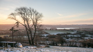 Днес продължат възстановителните дейности след бурния вятър вчера в общините