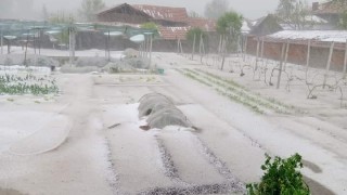 Силна градушка удари плевенското село Българене навръх празничния 6 май