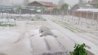 Комисия оценява щетите от градушката в Нова Загора