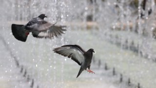 Днес преди обяд ще бъде слънчево Това съобщават от НИМХ Отново