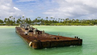 Незаконно е правителствата да връщат хора в страни където животът