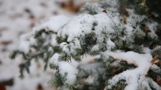 През нощта облачността над по голямата част от страната ще намалее