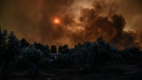  Пожарите в Гърция взеха 96 жертви 