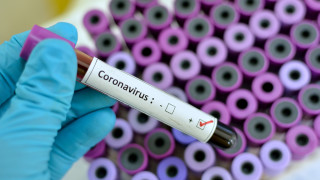 186 са новите случаи на коронавирус у нас. Направени са 3637