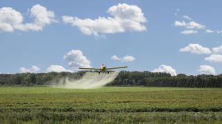 Дъбови и борови гори житни полета простиращи се до хоризонта