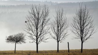 Денят ще бъде облачен а температурите по високи от обичайните за