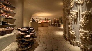 Творчеството във всяка своя проява ни действа вдъхновяващо дори да