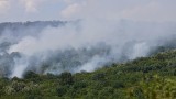 Овладени са двата пожара във Варненско 