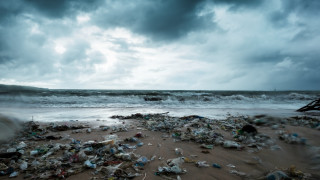 Окисляването на океана може да доведе до масово измиране на морския живот