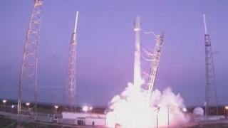 От Компанията SpaceX съобщиха за извеждане в космоса на 60