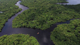  Новият президент на Бразилия заплашва тропическите гори на Амазония 