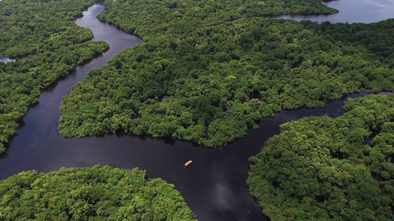 Новият президент на Бразилия застрашава тропическите гори на Амазония