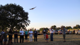 В област Стара Загора са разселени 16 ловни сокола по