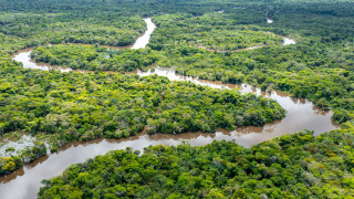 Бразилската държавна компания Petrobras получи одобрение за извършване на проучвателни