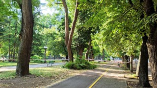 Сигнали за паднали клони след бурята в Стара Загора