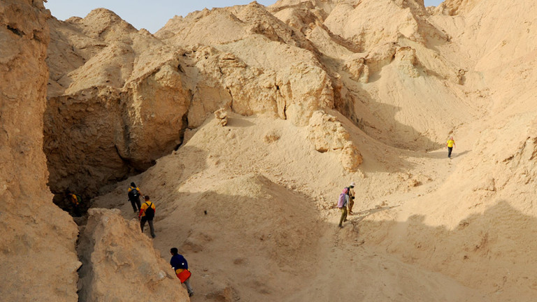 Изображение 407628