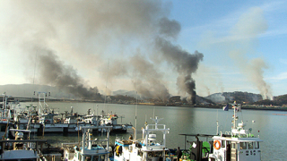 Русия "изригна" заради двете Кореи