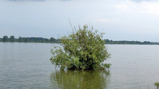 Критично ниво на Дунав край Лом