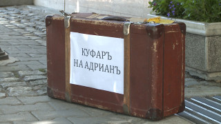 Лицемерие, нетрансплантирано
