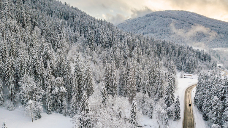 Снегове и виелици, 16 области са с оранжев и с жълт код
