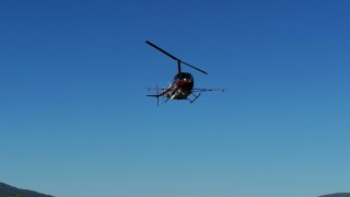 Започна въздушно пръскане срещу боровата процесионка в Южна България