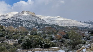 Атина отвори приюти за бездомници