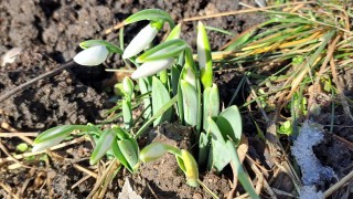 Днес над по голямата част от страната ще преобладава слънчево време