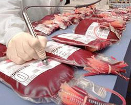 Все повече студенти даряват кръв 