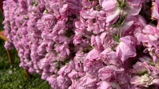 Днес ще бъде предимно слънчево с разкъсана висока облачност След