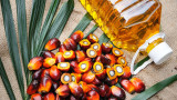Най-големият производител в света на палмово масло спира износа му