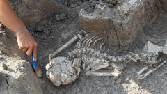 Това ли е най-ужасният смъртен случай в историята