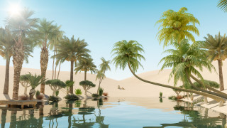 Дубай в Африка: Мащабен зелен проект за $33 милиарда може да превърне пустинята в оазис