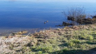 Министерство на околната среда и водите стартира обществено обсъждане за обявяването