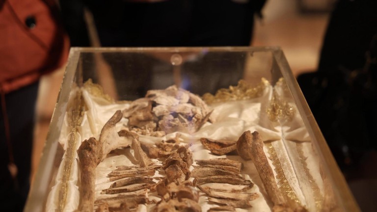 Изображение 752629