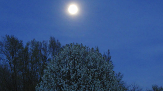 Близо 300 населени места останаха без ток